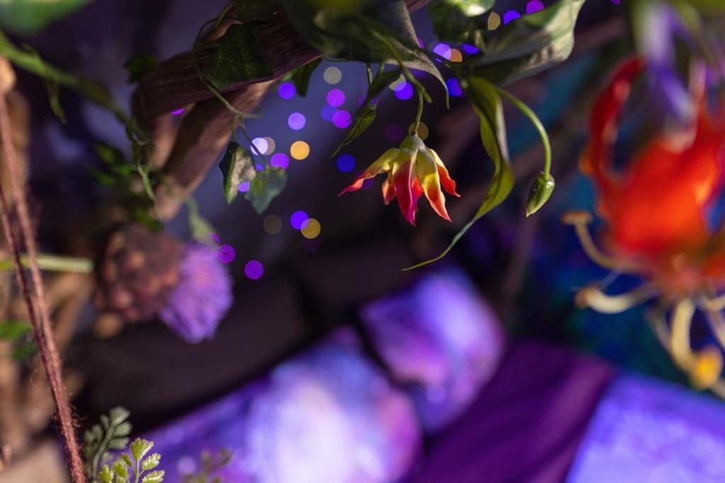 Ferienwohnung Avataar - L'Arbre De Pandoraa Belfort Exterior foto